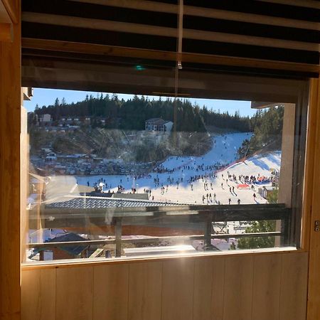 Studio Cabine Chaleureux 4 Personnes Pied Des Pistes Pyrenees 2000 Bolquere ภายนอก รูปภาพ